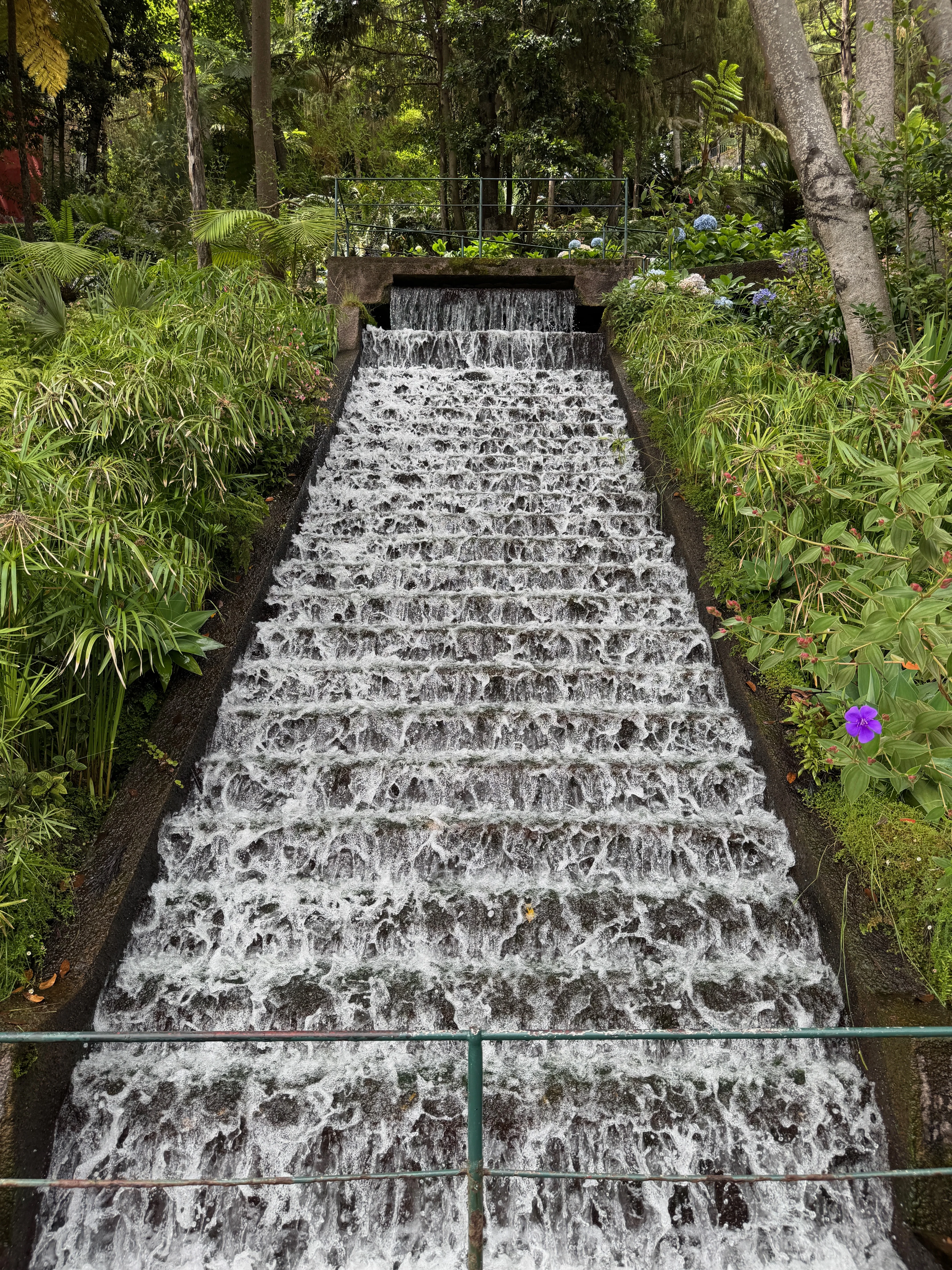 View from Madeira Botanical Gardens.