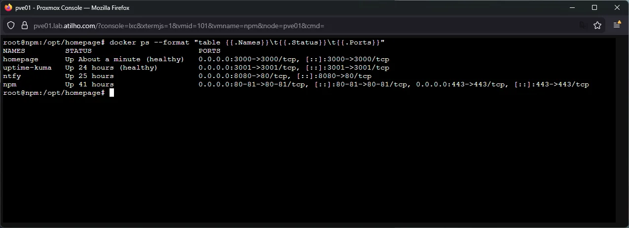 docker ps output showing all four containers running on CT 101
