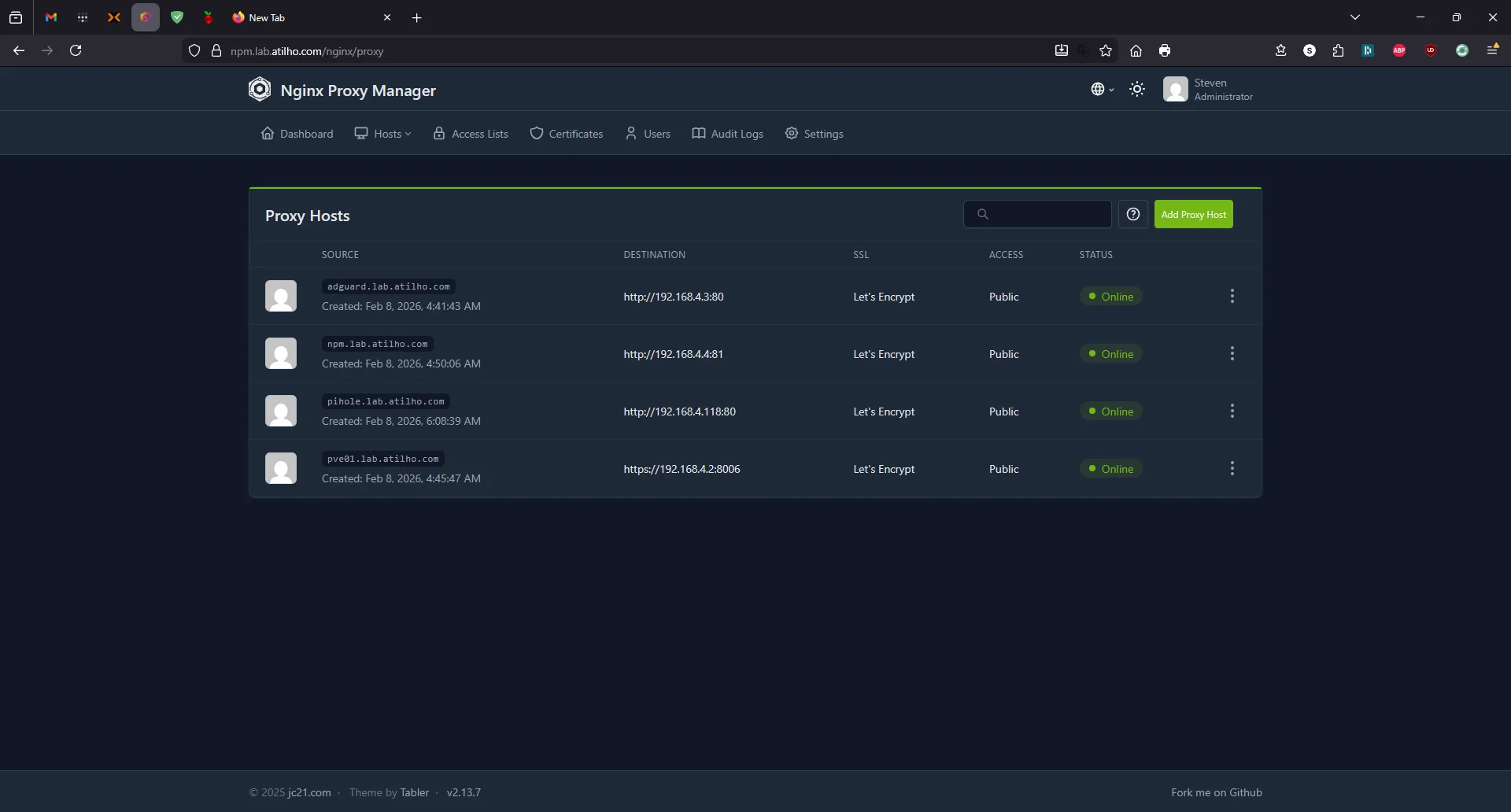 NPM proxy hosts with four services including Pi-hole