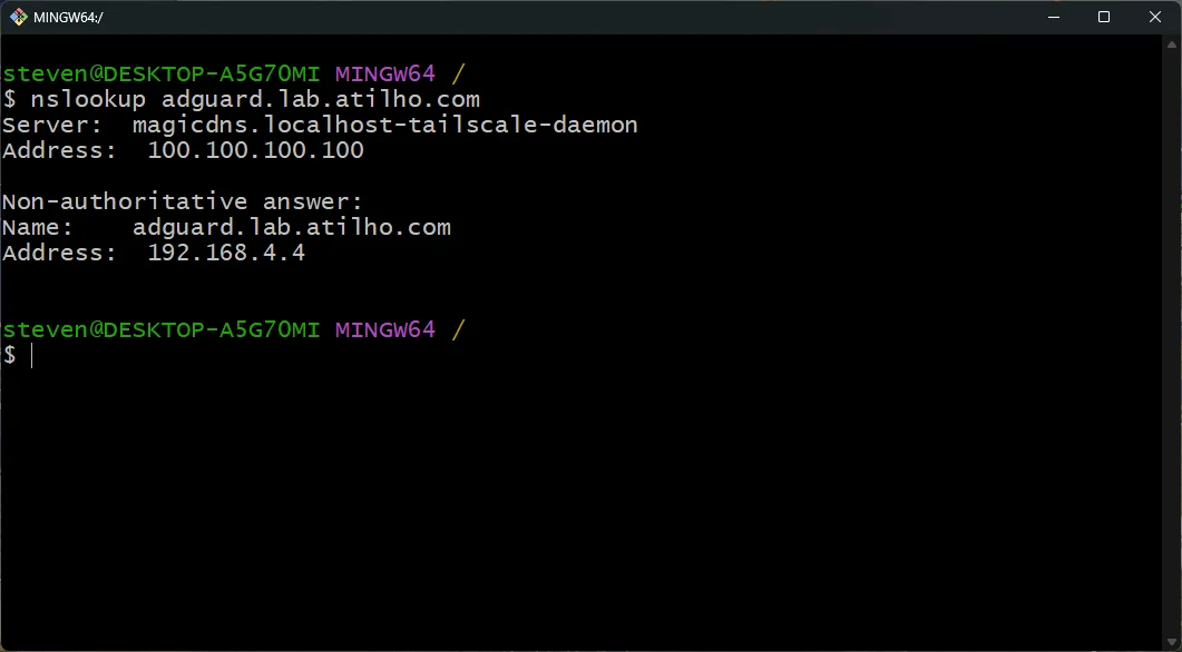 nslookup verifying DNS resolution to reverse proxy IP